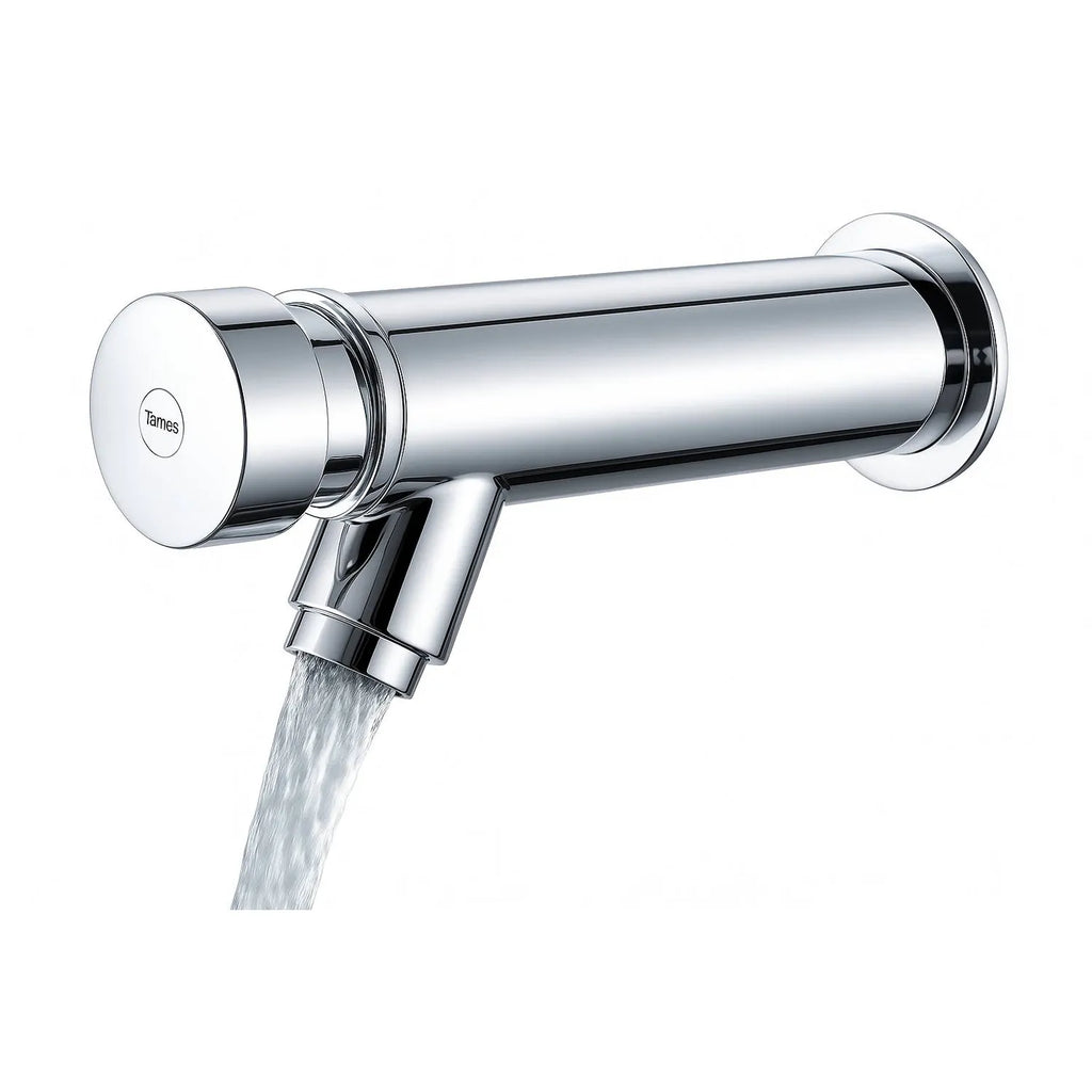 Grifo de Push de Pared